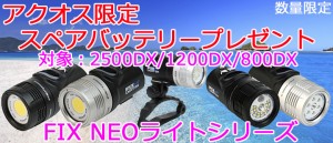 fixneo2015_000