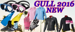 2016gull_banner_01