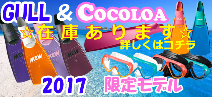 cocoloa_banner_2017