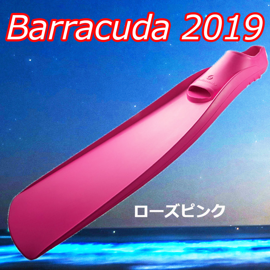 2019barracuda01