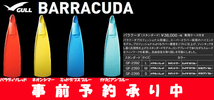barracuda-2020