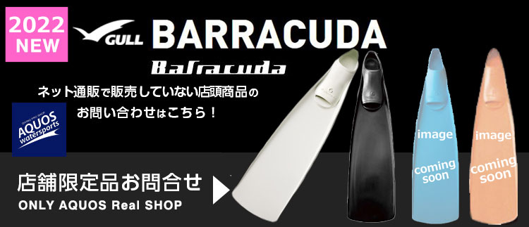 barracuda2022